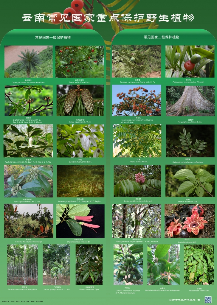 以案普法：：：：抑氐惚；；ぶ参镒